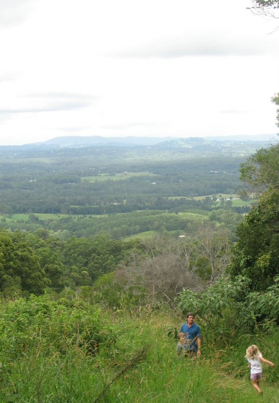 img_61811 Sunshine Coast Hinterland: Run darling before a leech gets you