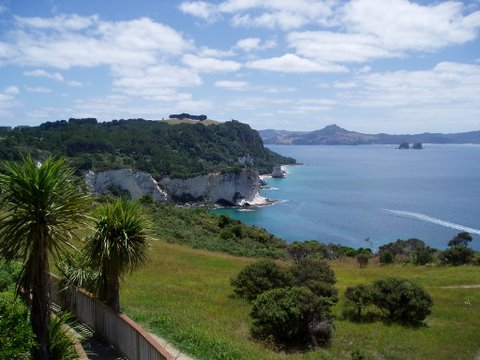 P180033 Scenic Coromandel walk in New Zealand