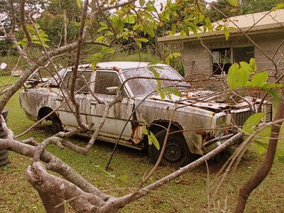 Noosa hinterland, Sunshine Coast, Australia, Pomona