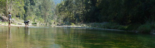 Camping in Australia, Queensland