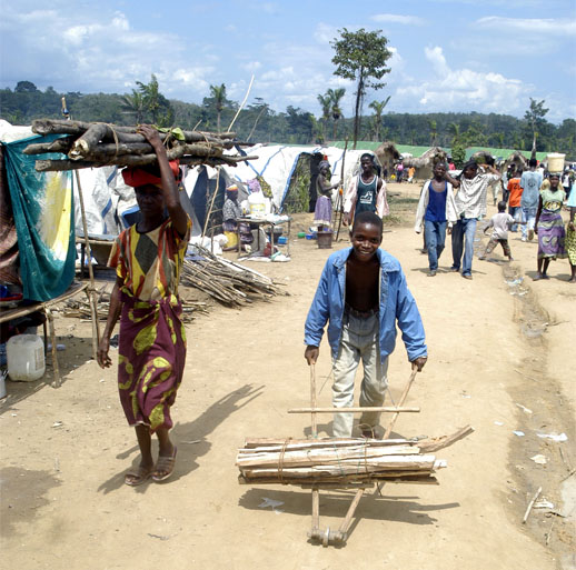 Often living with no electricity Liberians rely on scarce firewood for cooking