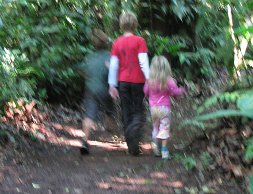 Los Cusingos Bird Sanctuary Costa Rica 