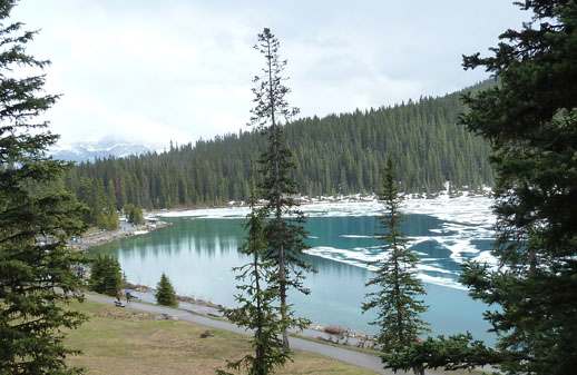 Lake Louise travel dream