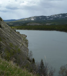 Yukon River Loop Trail returning on the south bank on the Tramway Trail