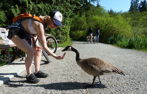 Vancouver's Stanley Park