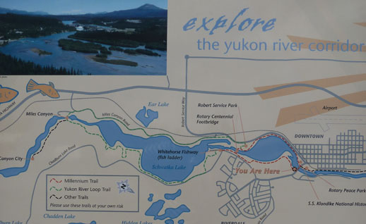 yukon river loop hike whitehorse to miles canyon