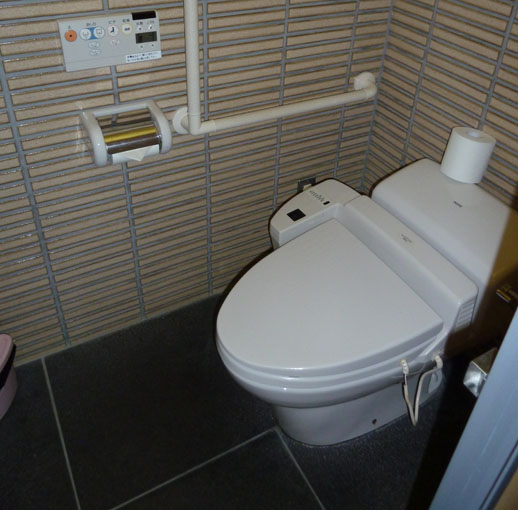 funny travel story japanese toilets cubicle