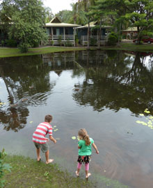 Hervey Bay accommodaton - Sanctuary Lakes Fauna Retreat