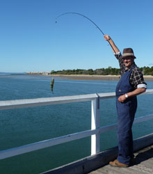 Things to See and Do in Hervey Bay