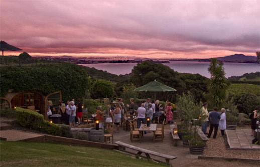 best travel destination waiheke island, new zealand