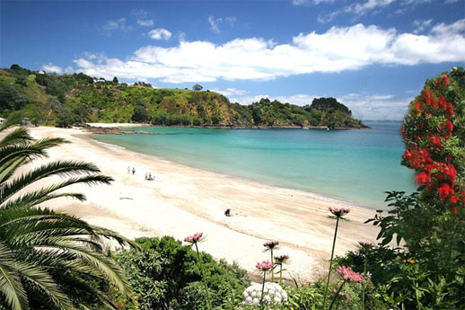 best travel destination, waiheke island new zealand palm beach