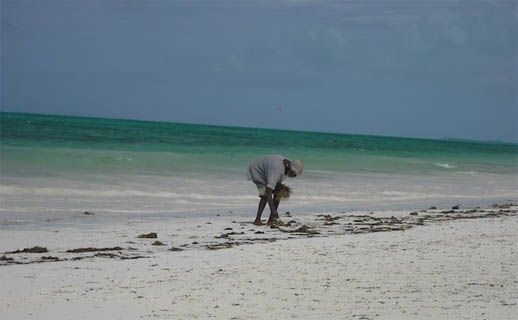 zanzibar-travel-tips-kids-beach