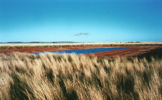 Travel Hot Spots in Outback Australia - White Cliffs