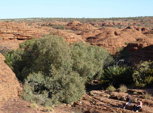 kings canyon walk central australia