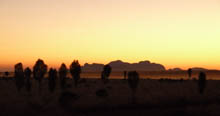 Uluru Sunrises and Sunsets