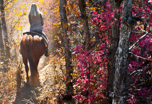 i-love-utah-view-horse