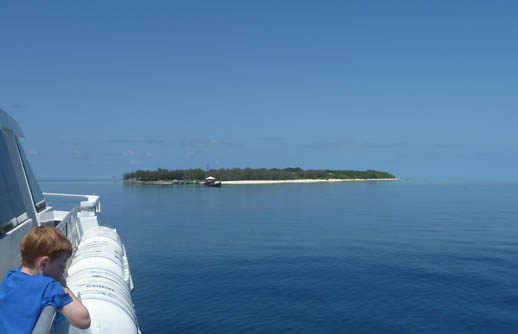 heron island arriving