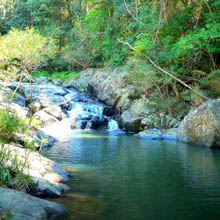 boolumba creek campsite in the Kennilworth forest