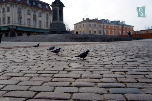 warsaw-travel-tips-old-market-square