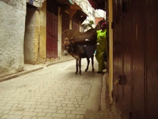 Traveling to the fez medina