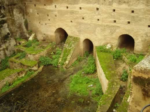 Traveling to the fez medina