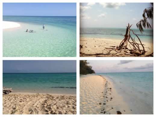 Heron Island beaches