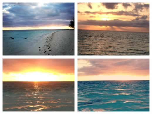 heron island sunrises