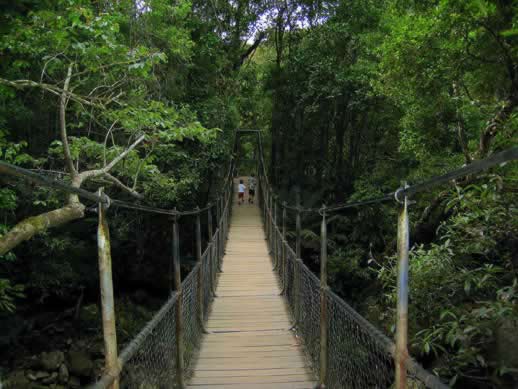 travel photo post: Mossman Gorge in Daintree National Park