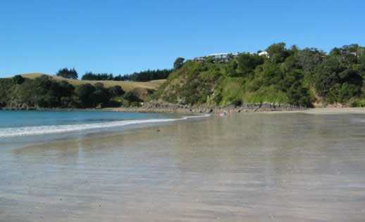 Palm beach waiheke island new zealand travel photo