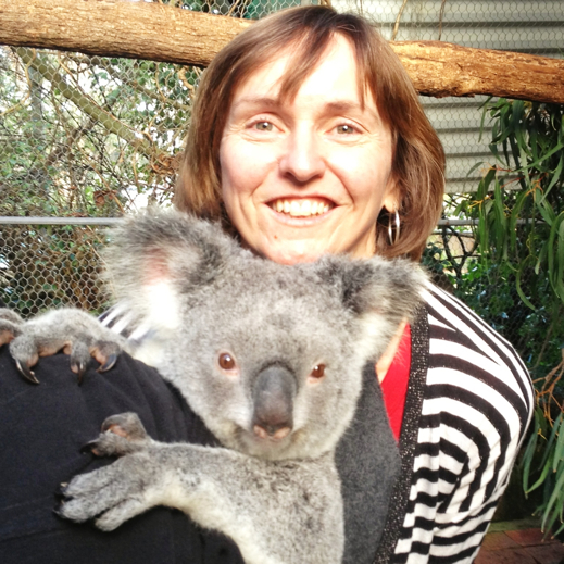 Wollongong travel tips - symbio zoo koala