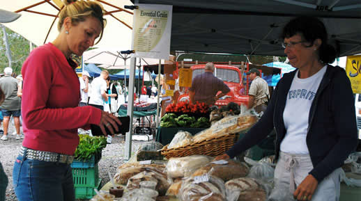 Noosa farmer's market