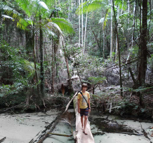 fraser island central station