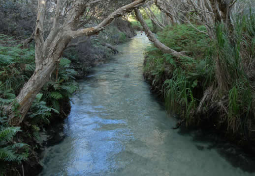 fraser island eli creek