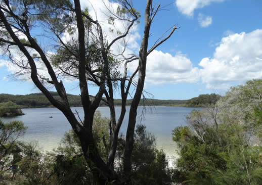 fraser island lake mackenzie