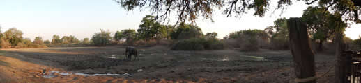 kanga camp pan panorama with elephant small