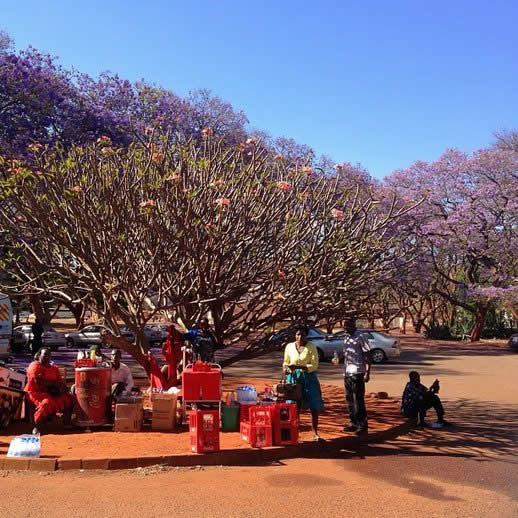 Zimbabwe Travel Tips and Mythis