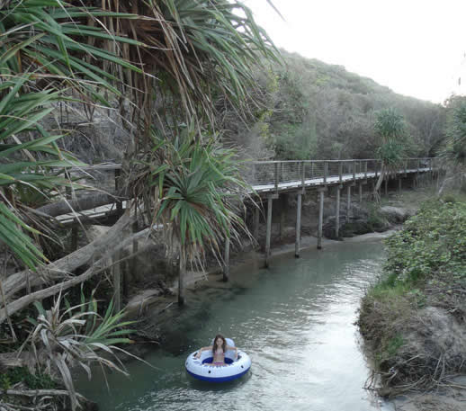 Fraser island family holiday floating at eli creek