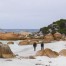 Bay of Fires Hike and beach walking tips