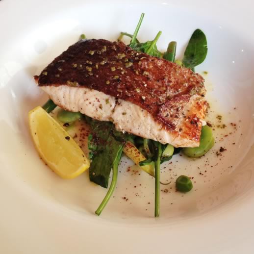 sirocco noosa review salmon