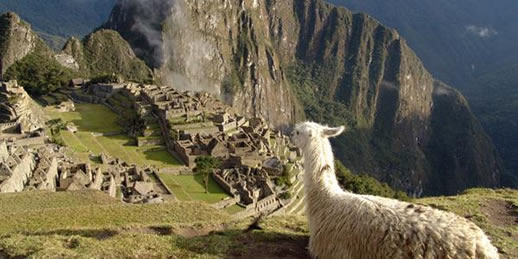 new discoveries machu picchu