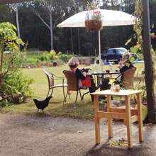 sunspace cafe Sunspace Cafe, Doonan, Noosa locals guide