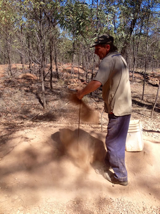 rubyvale michael fossicking sieve