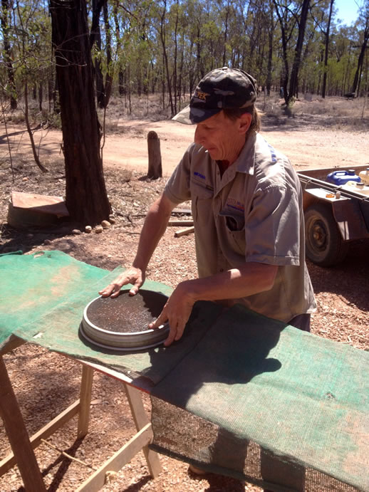 rubyvale michael fossicking turnout