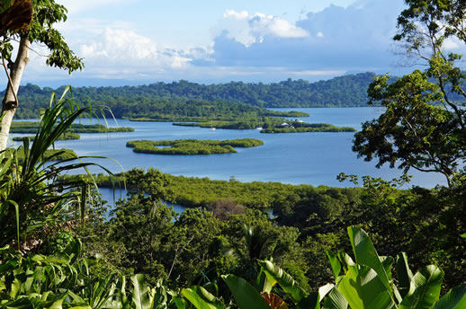 Island Travel Experience bocas