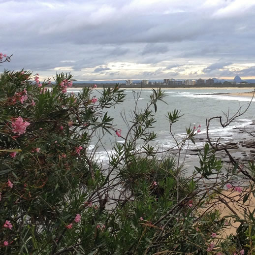 rumba resort caloundra glasshouse view