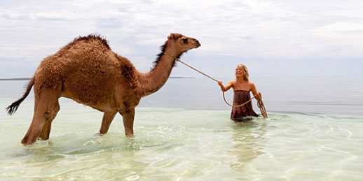 tracks movie camels ocean