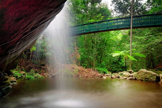 sunshine coast waterfalls buderim