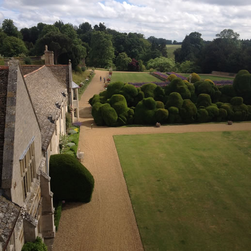 rockingham castle hedge