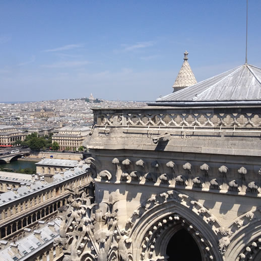 notredame view