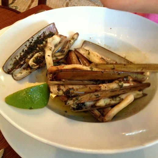 razor clams